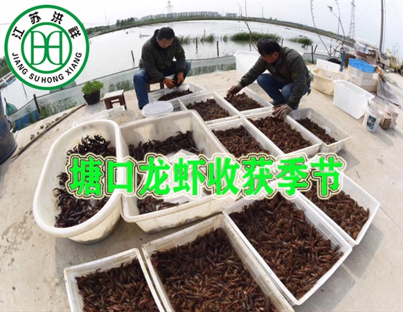 XYDK6050型數控雕刻機 半封閉